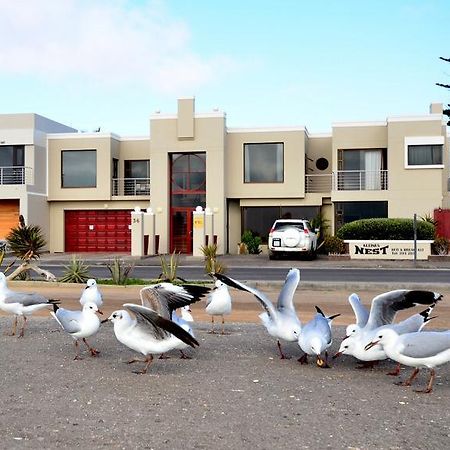 Kleines Nest Bed And Breakfast Walvis Bay Exterior foto